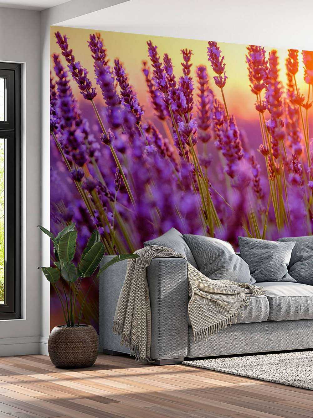 Nærbillede lavendel