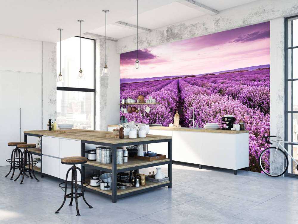 Lavendel buske