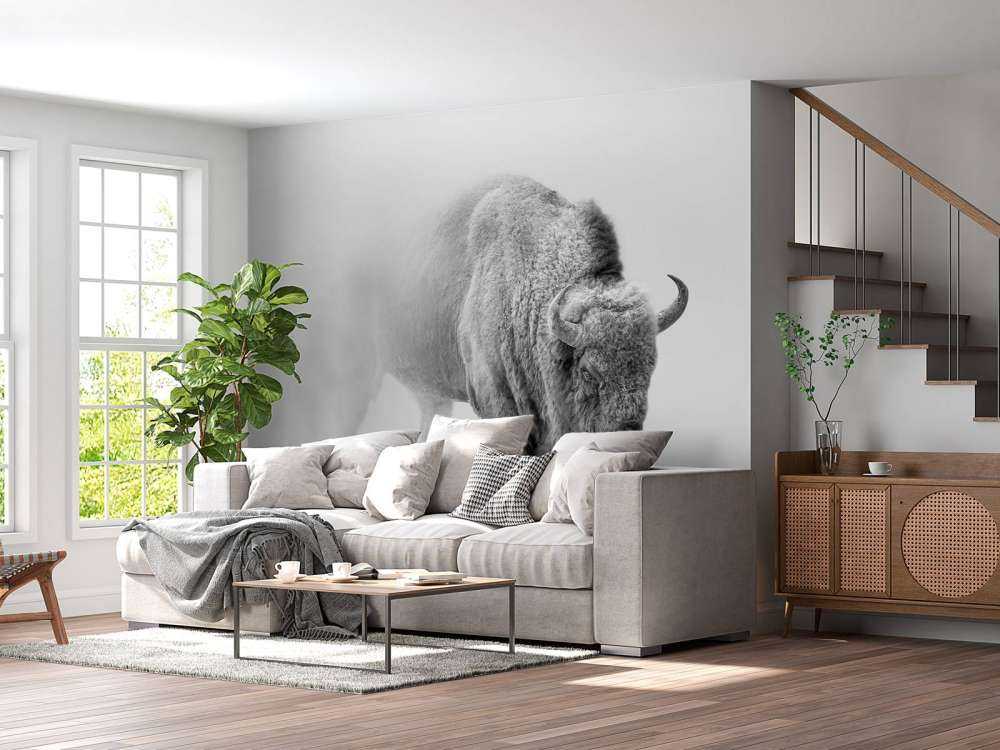 Bison sort, hvid