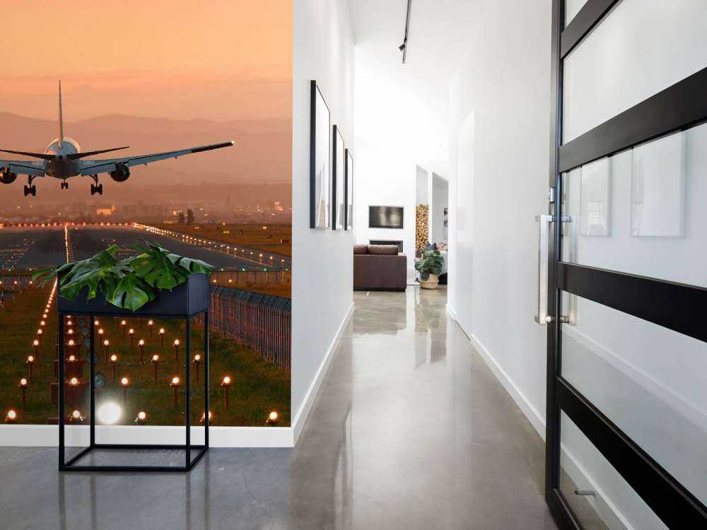 Landingsfly i aftensolen