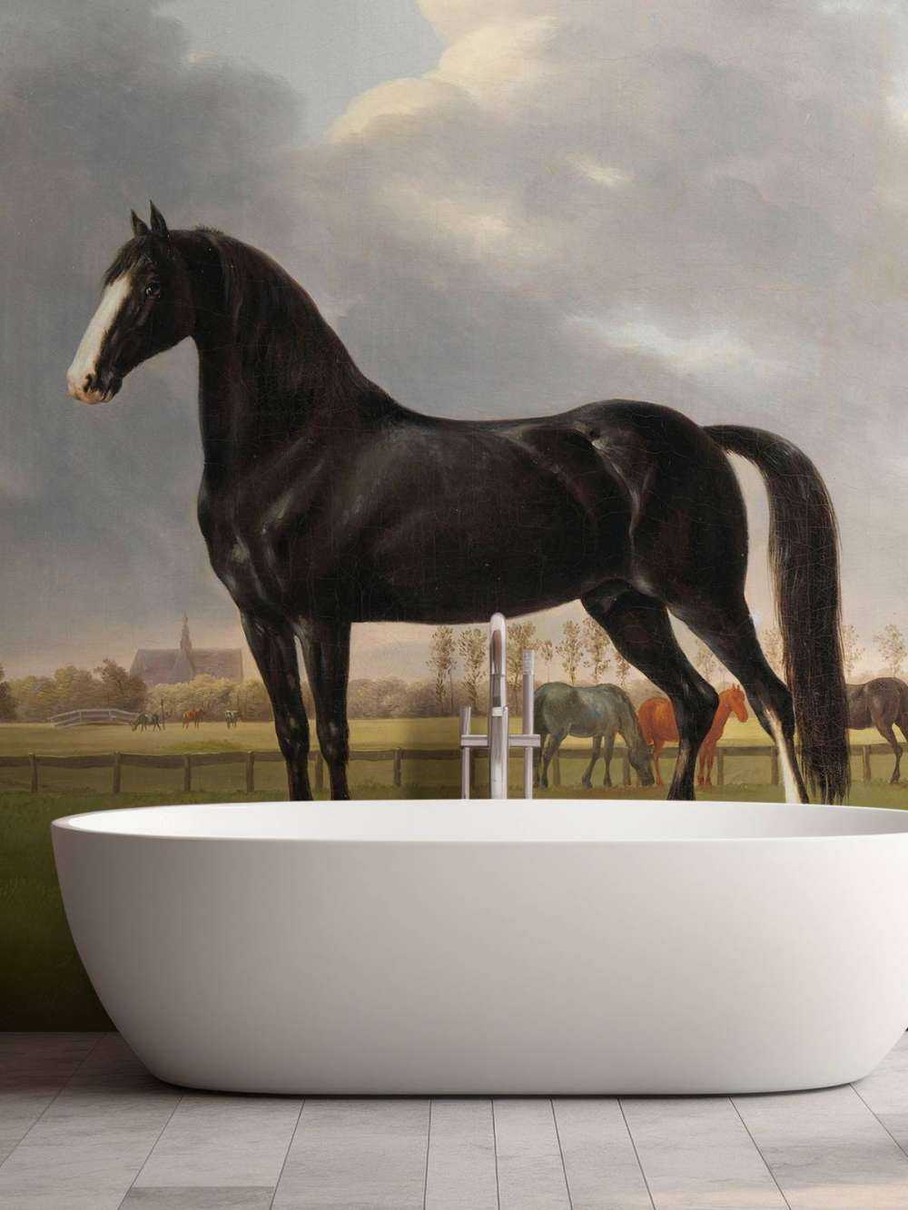 fototapet hest. Harddråer De Vlugge