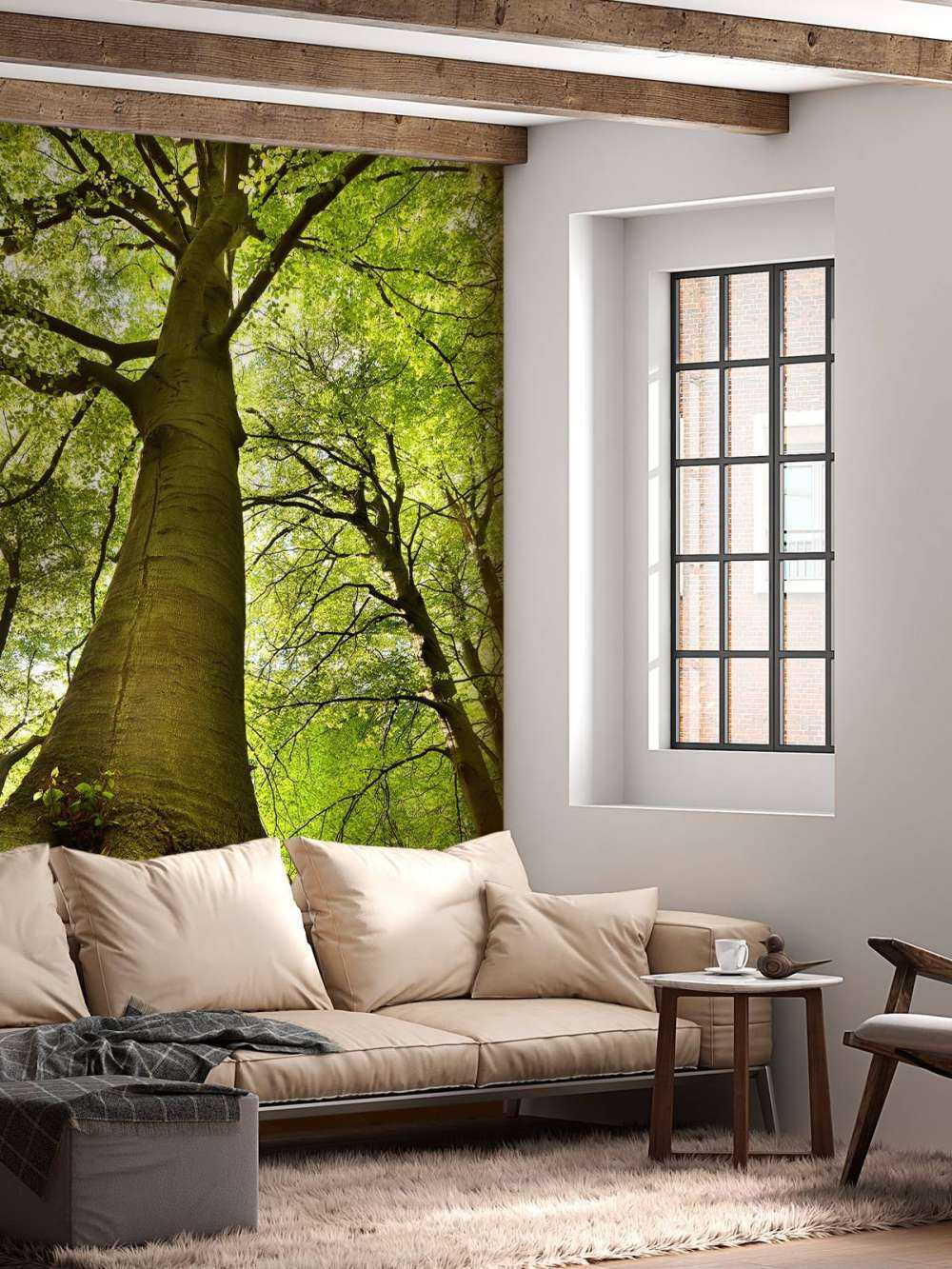 Stort træ og rødder