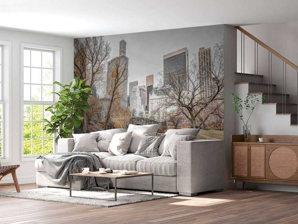 Central park om vinteren