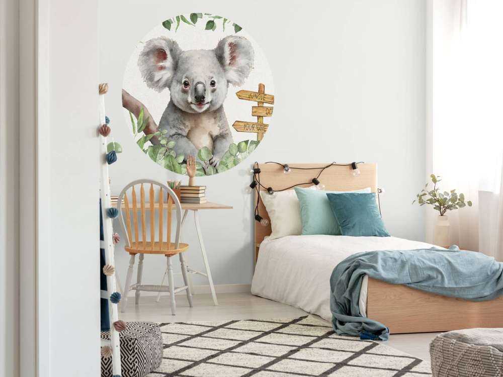 Baby koala i junglen