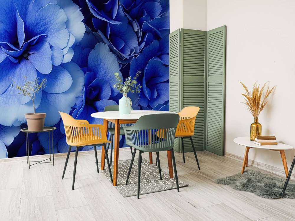 Nærbilde av blå hortensiaer