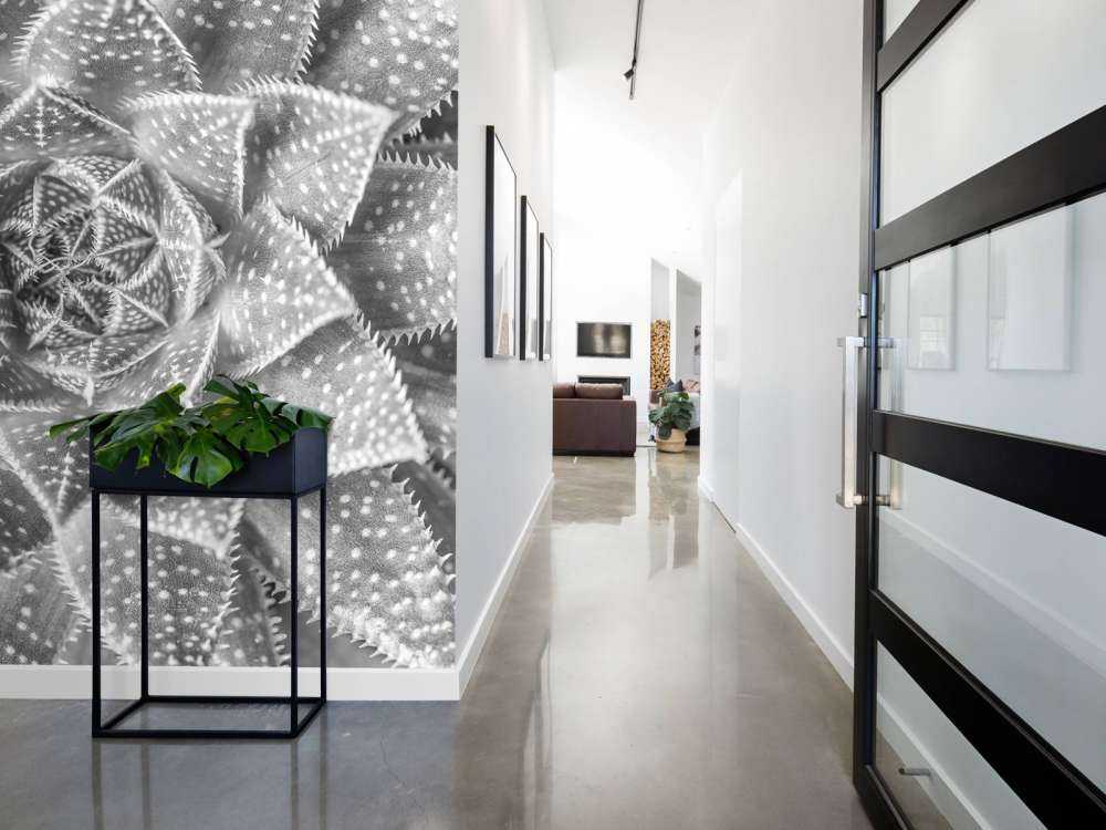 Nærbilde sukkulent plante