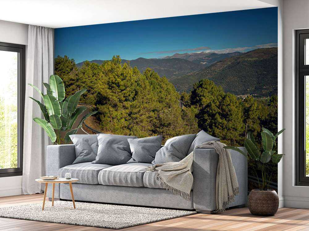 Limegrønn BMW på fjellvei