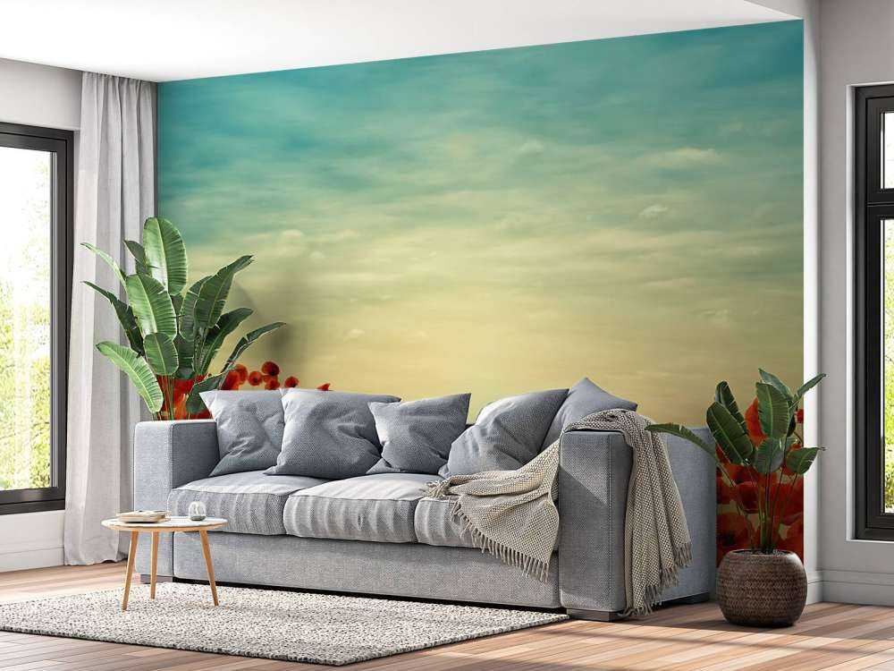 Valmuer med solnedgang