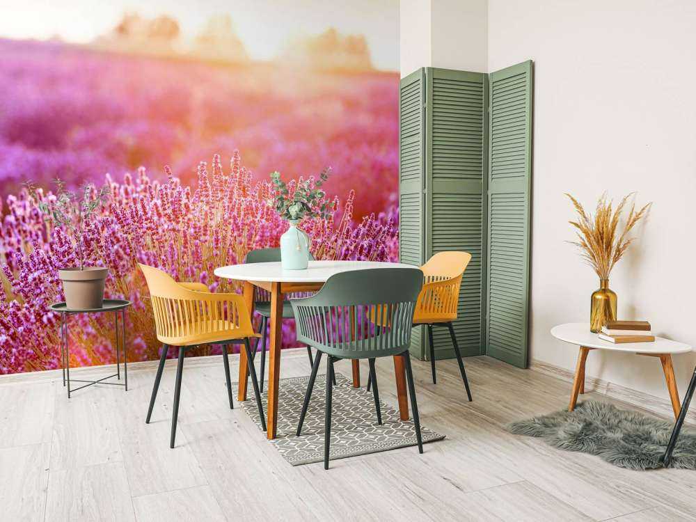 Nærbilde lavendelblomster