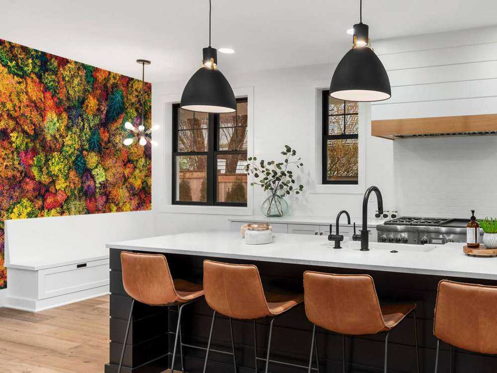 Luftfoto over høstskogen