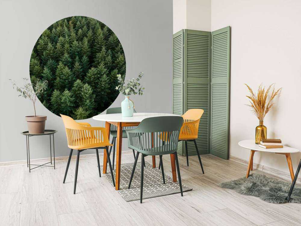 Douglas fyrer ovenfra