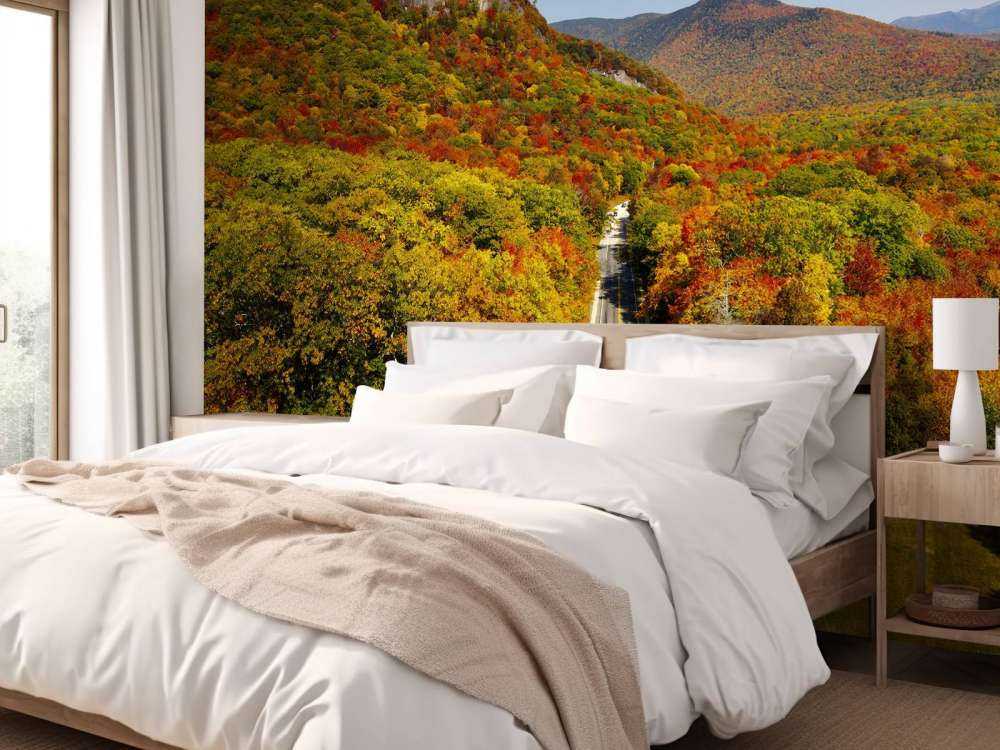 Veien gjennom høstlandskapet