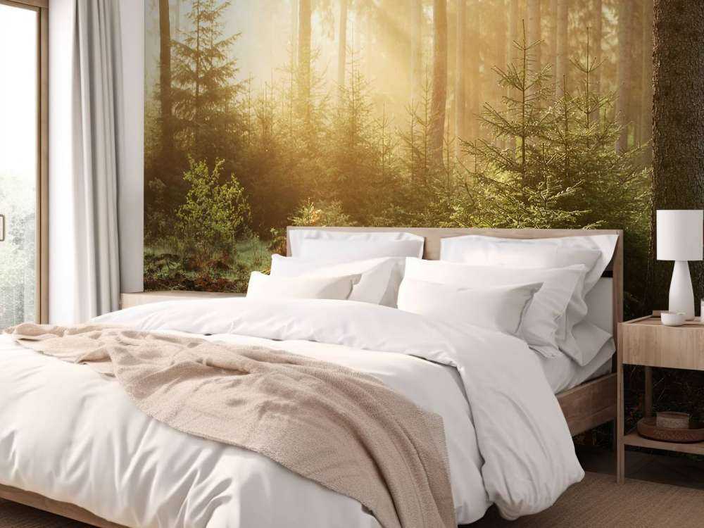 Solstråler gjennom skogen