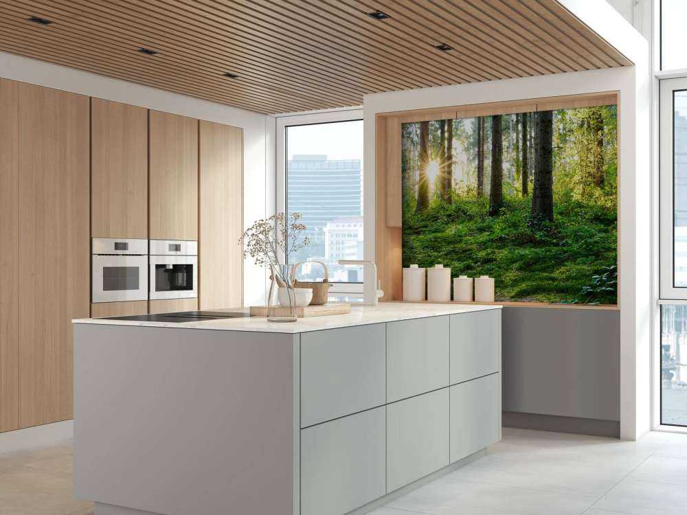 Skogpanorama om våren