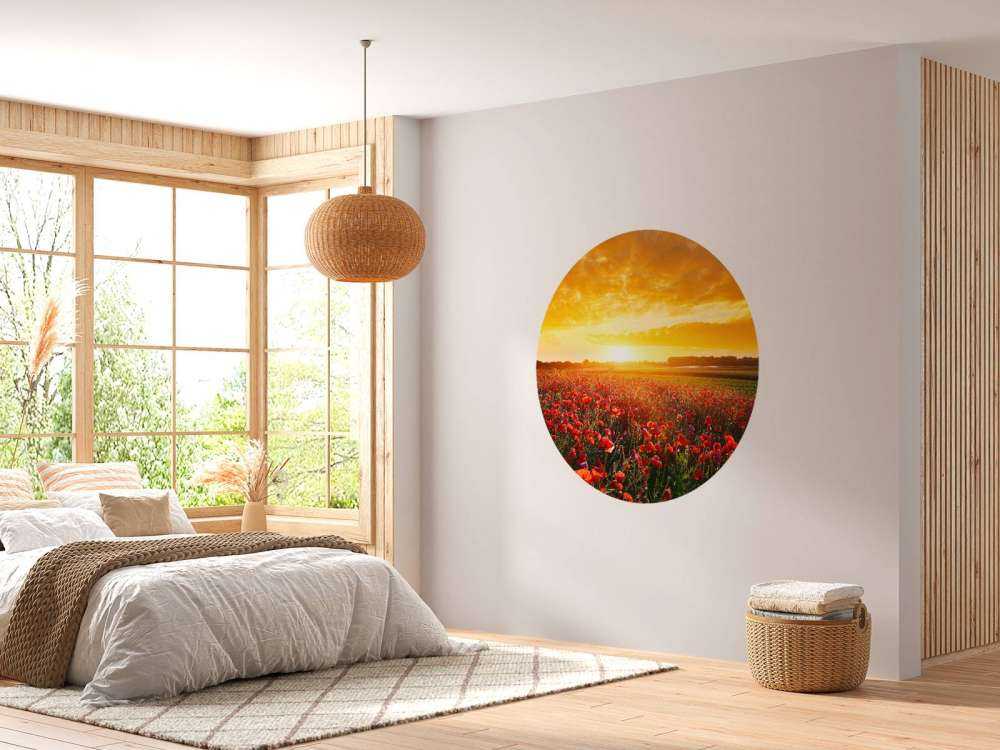 Valmuer og solnedgang