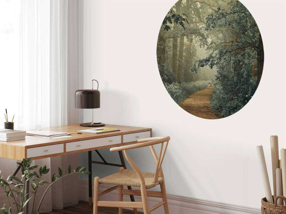 gjennom skog med tåke