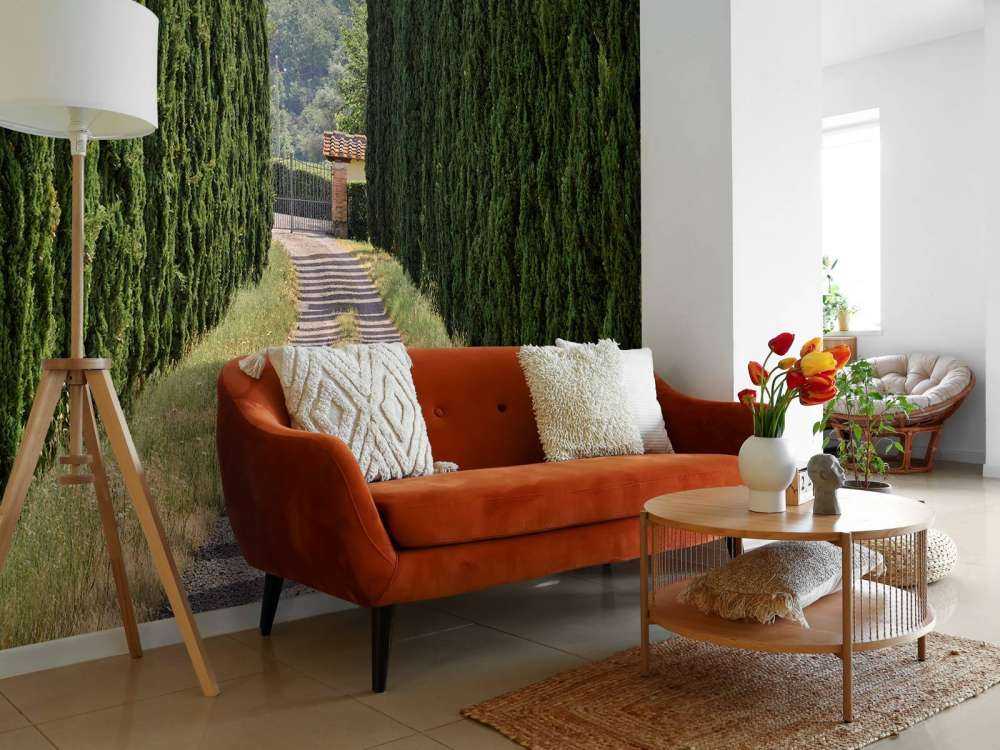 Avenue med sypresser