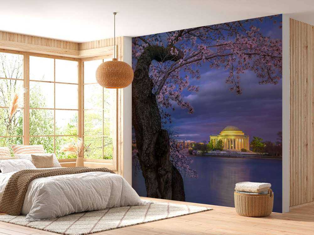 Cherry blossoms around the Jefferson Memorial