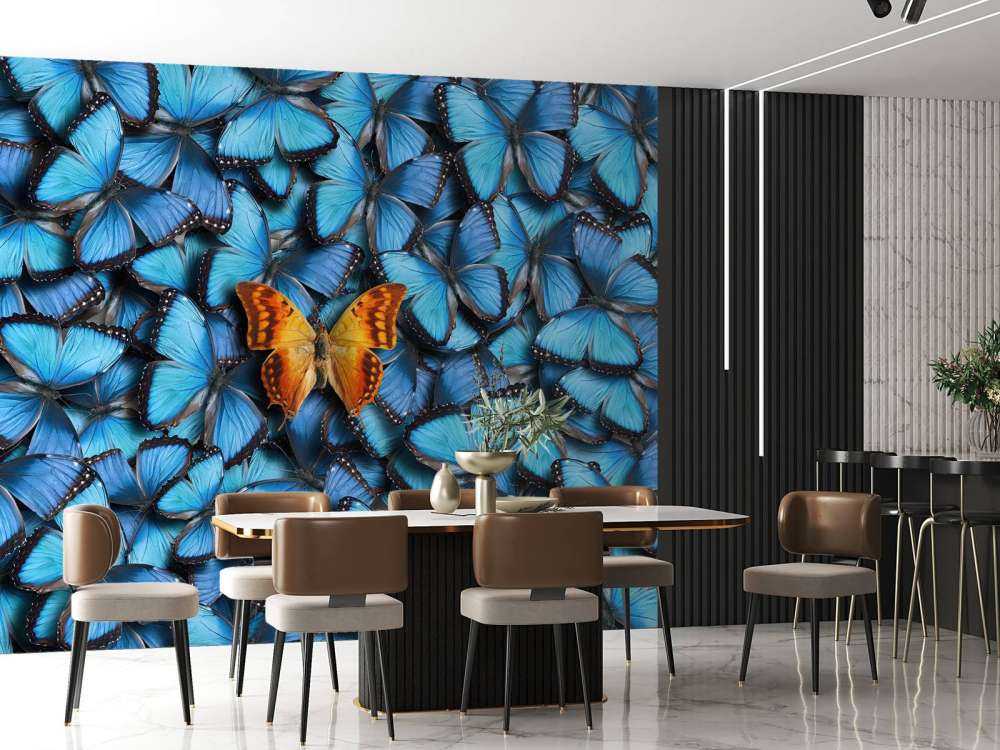 sommerfugl komposisjon