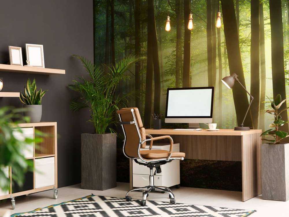 Morgensol blant trærne