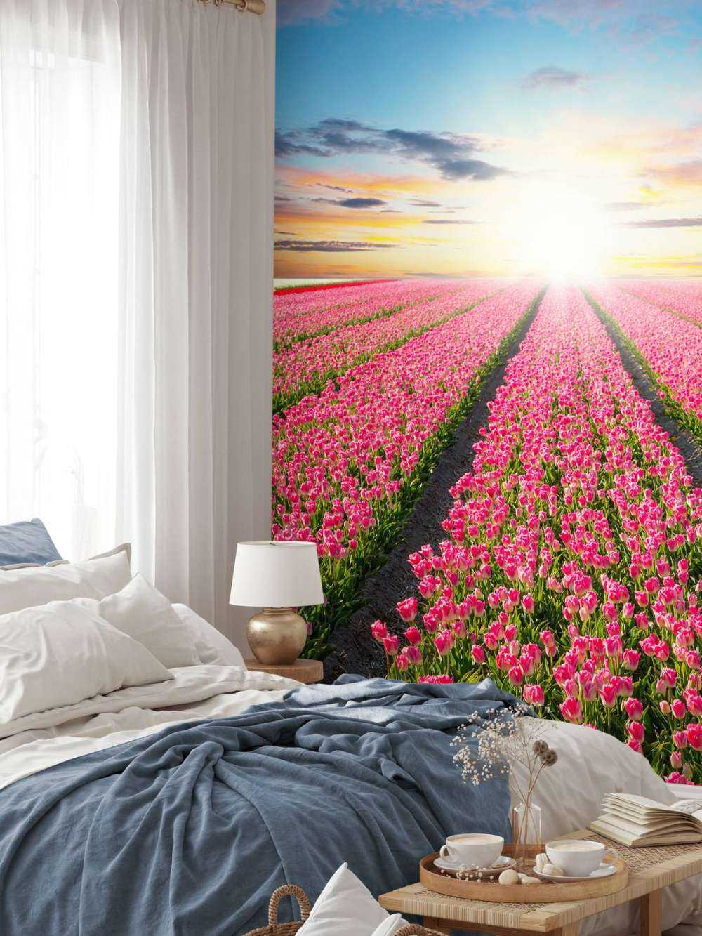 tulipanner med stigende sol