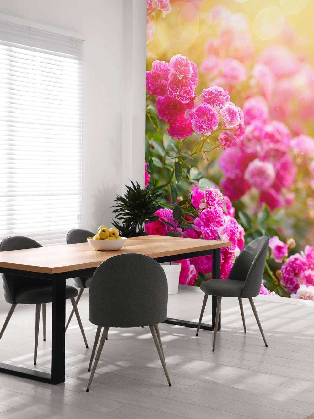 Rosa rosebusk