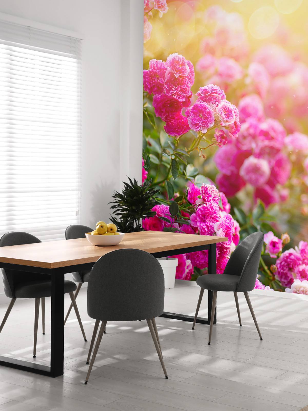 Rosa rosebusk
