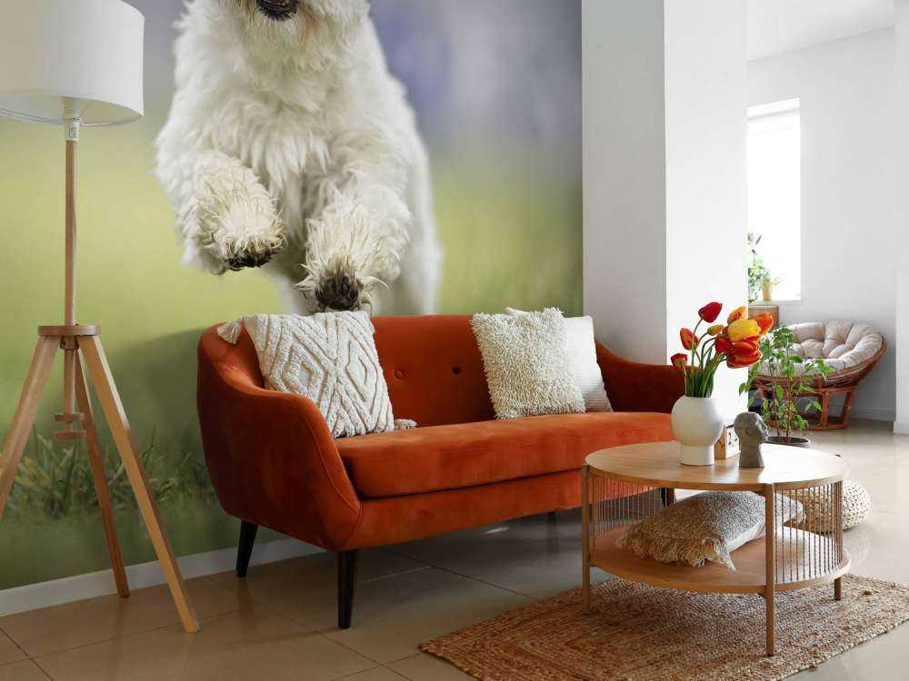 Løpshund