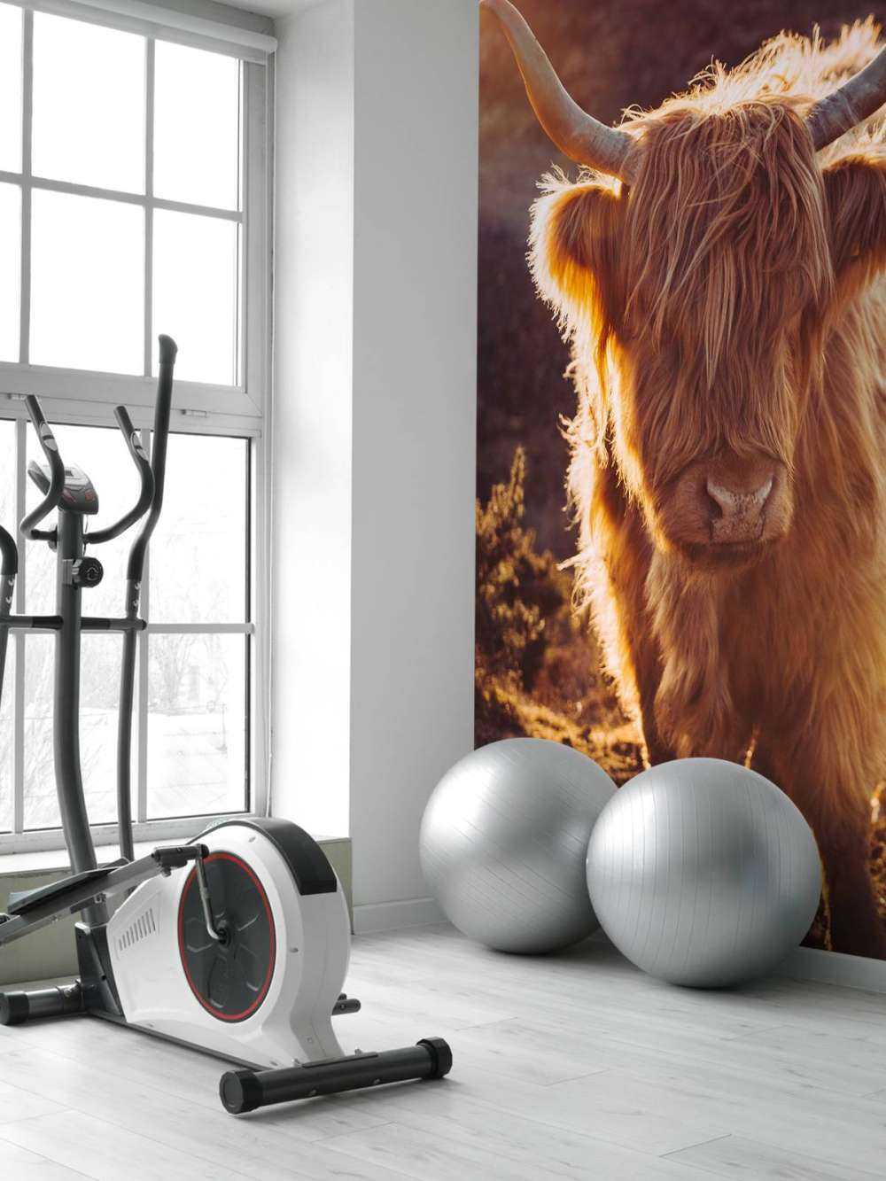 Det skotske høylandet i solen