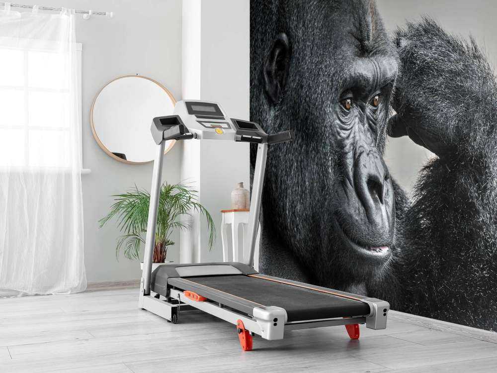 Gorilla svart og hvitt