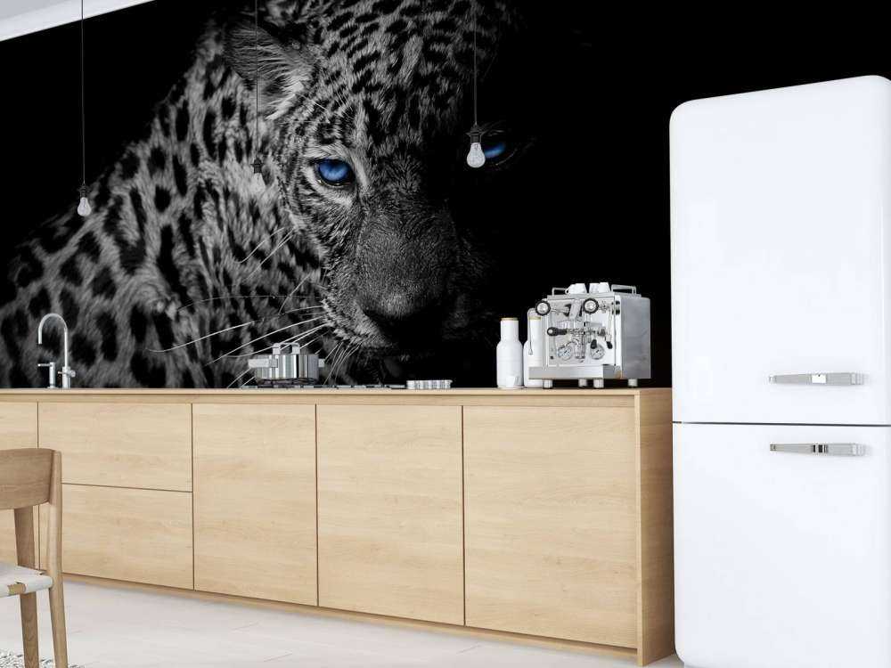 Leopard på svart tapet
