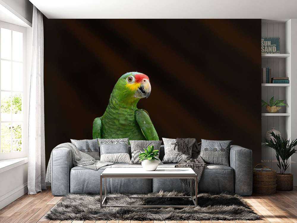 nysgjerrig papegøye