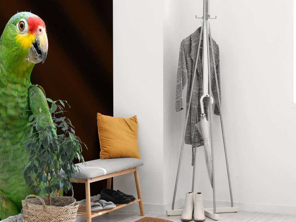 nysgjerrig papegøye