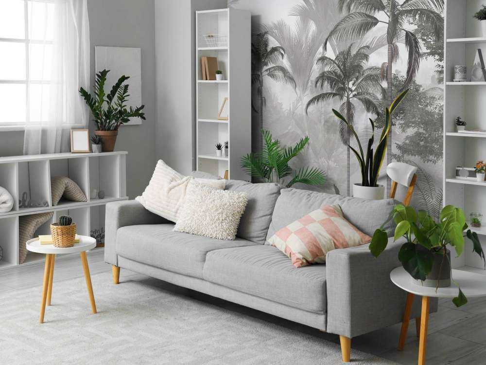 Livlig Grønt Urskog