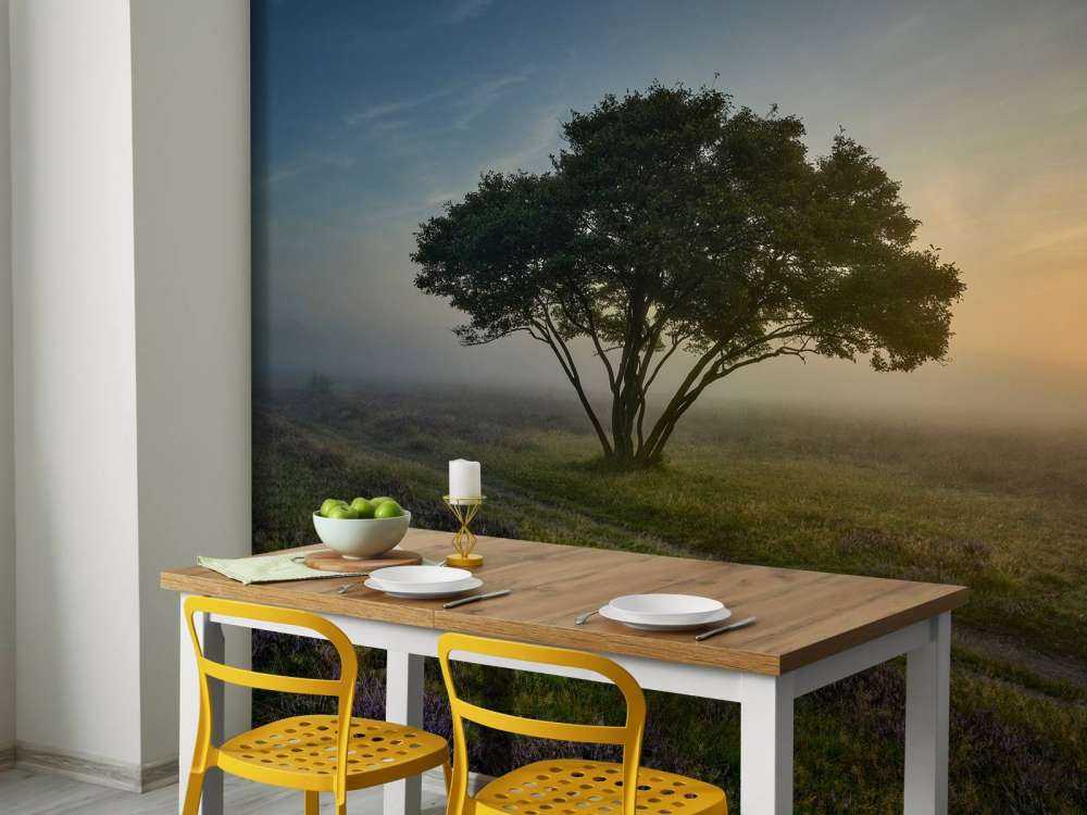 Soluppgång på heden