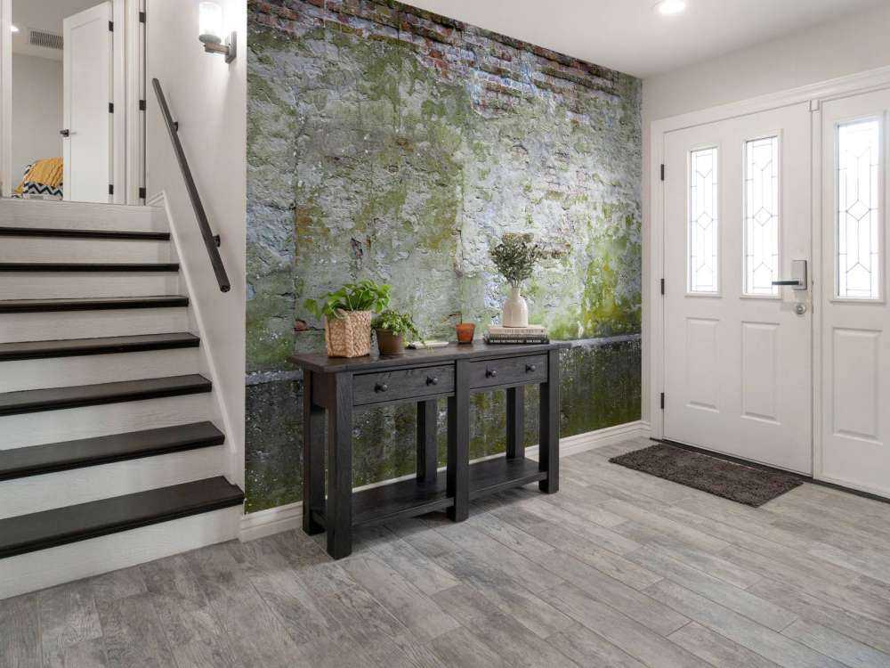 Mossa på gammal vägg