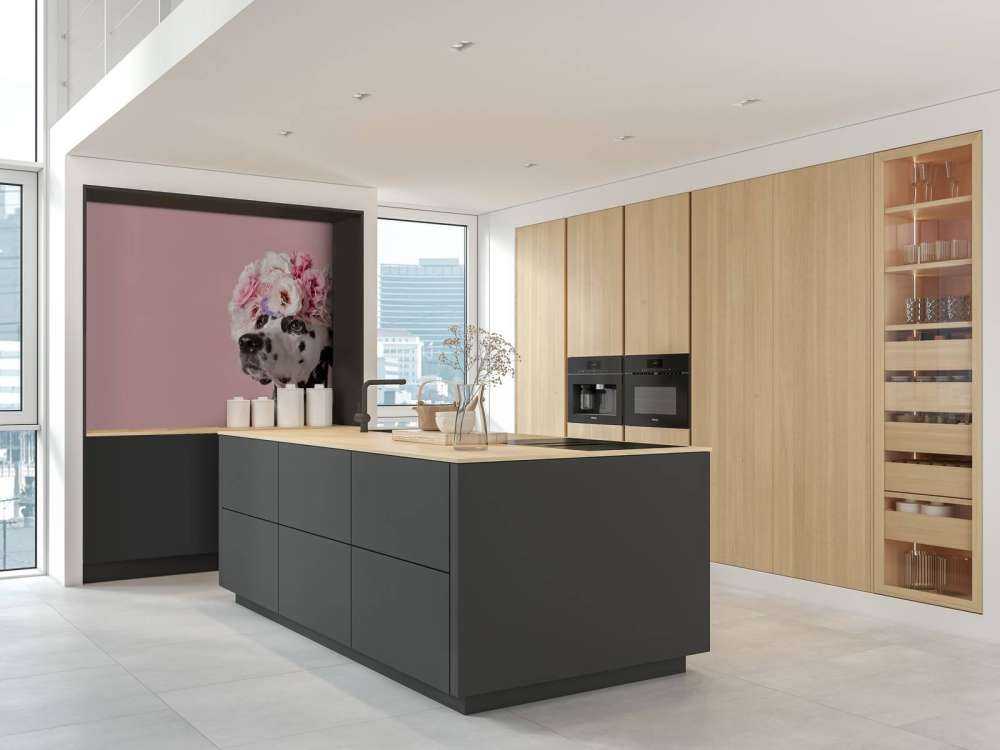 Dalmatinare med färgade blommor