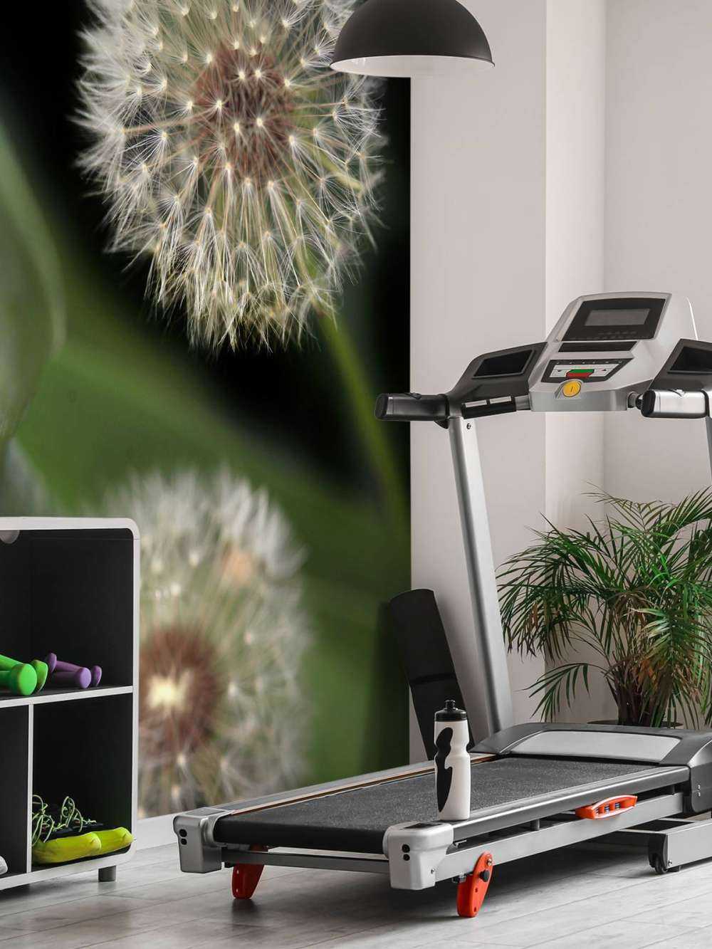 Närbild av maskrosor