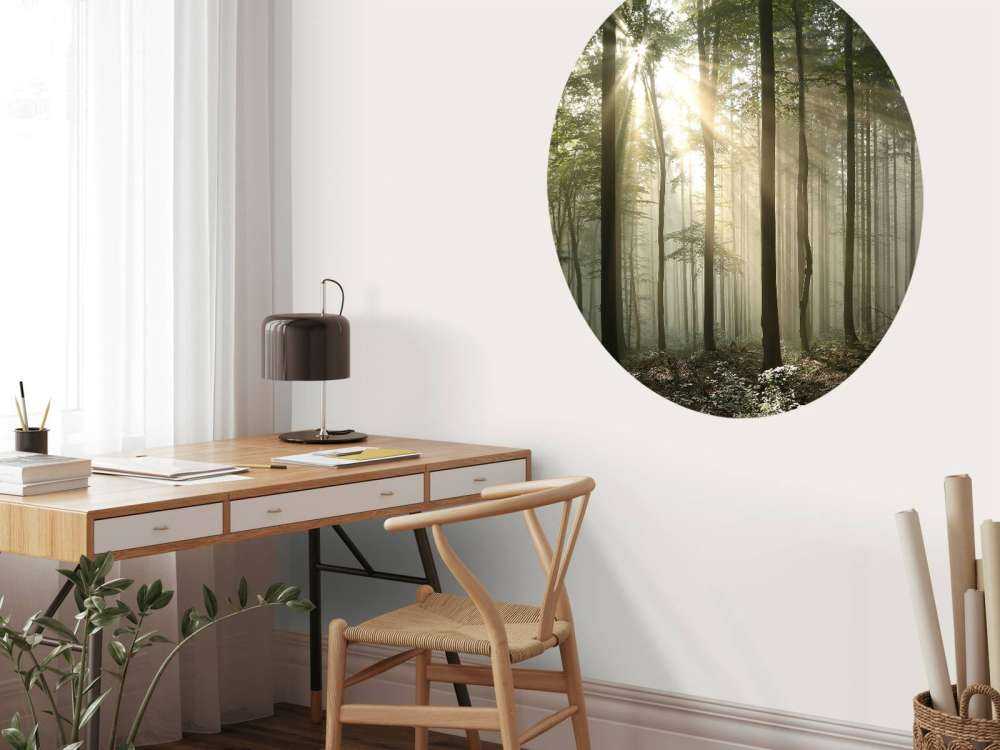 Höstlövskog