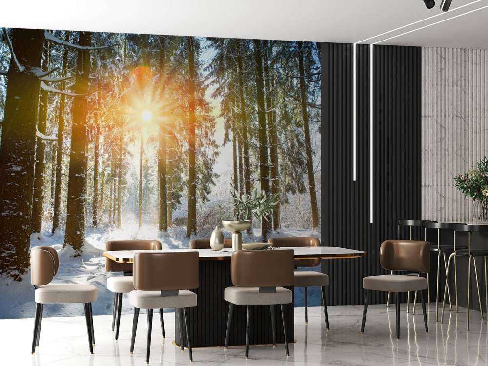 Solljus i vinterskog