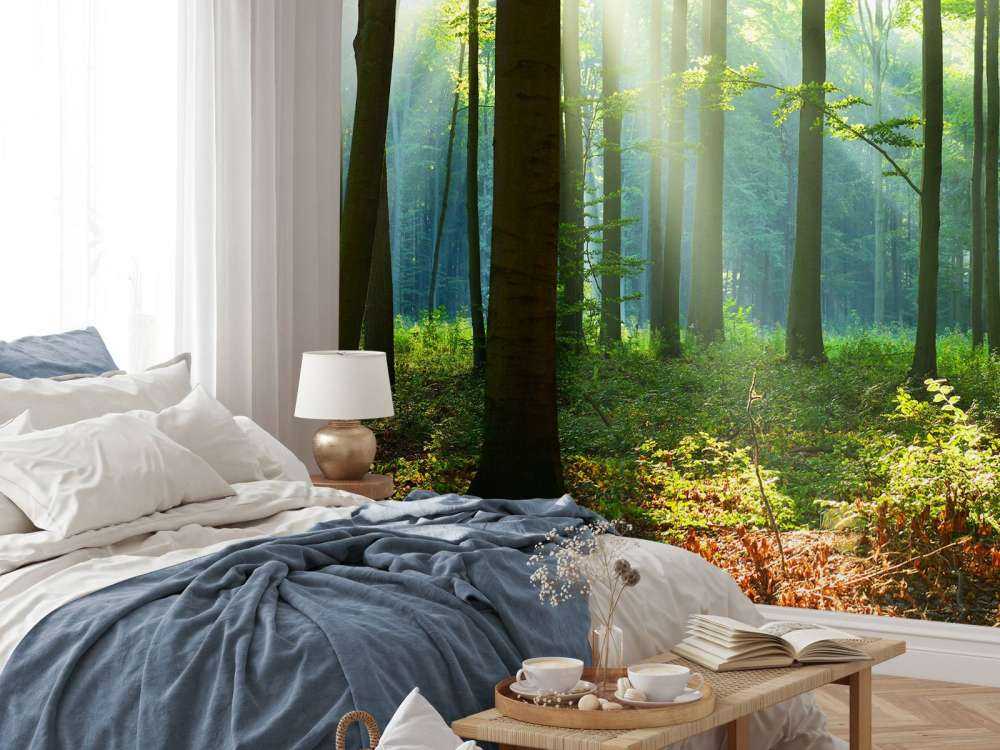 Morgon i skogen
