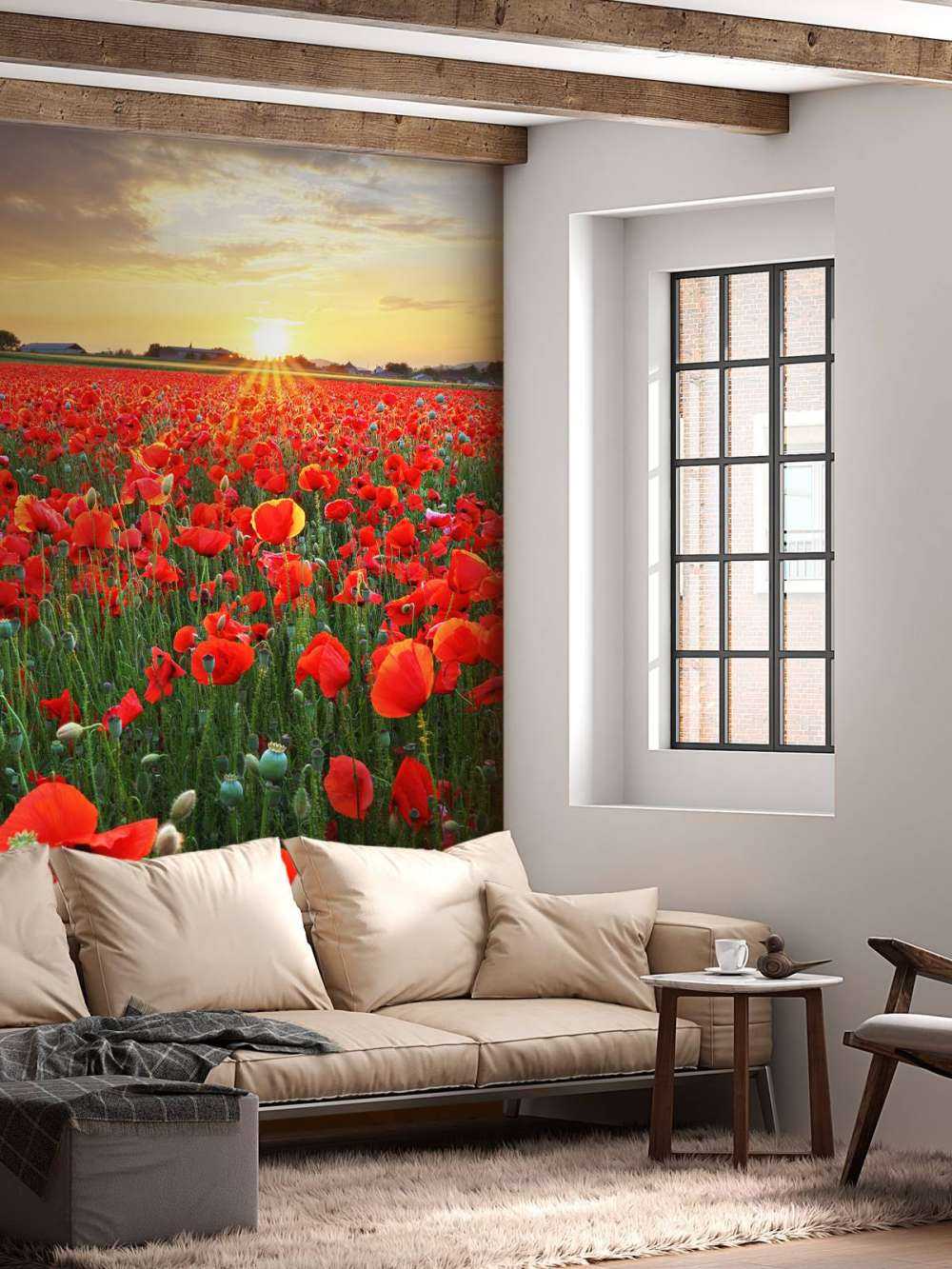 Vallmo vid solnedgången