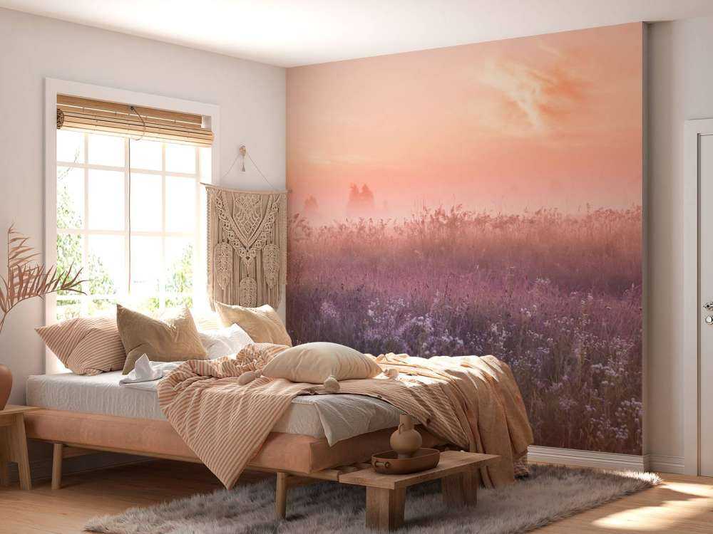 Fält med morgondimma