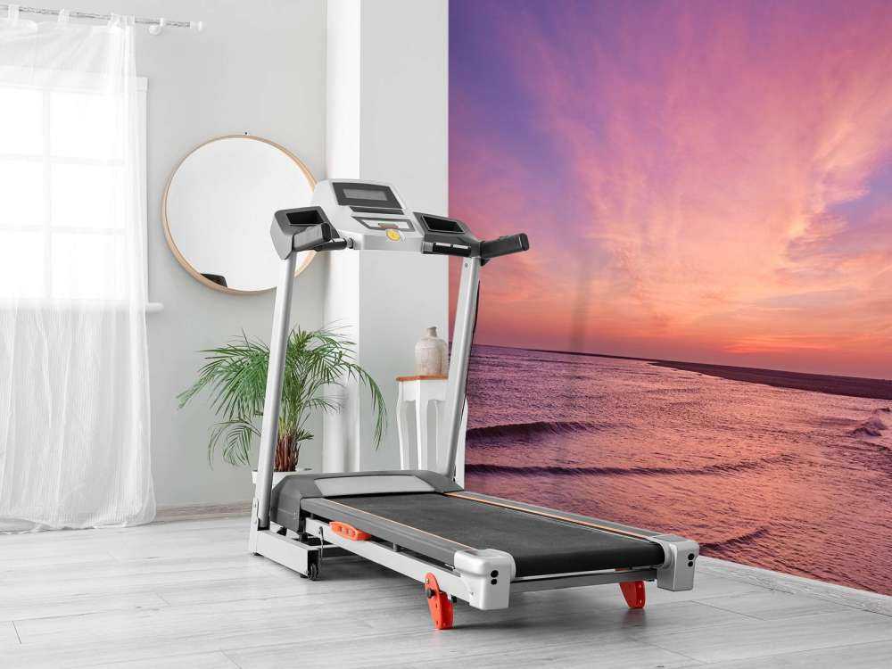 skog med rosa solnedgång