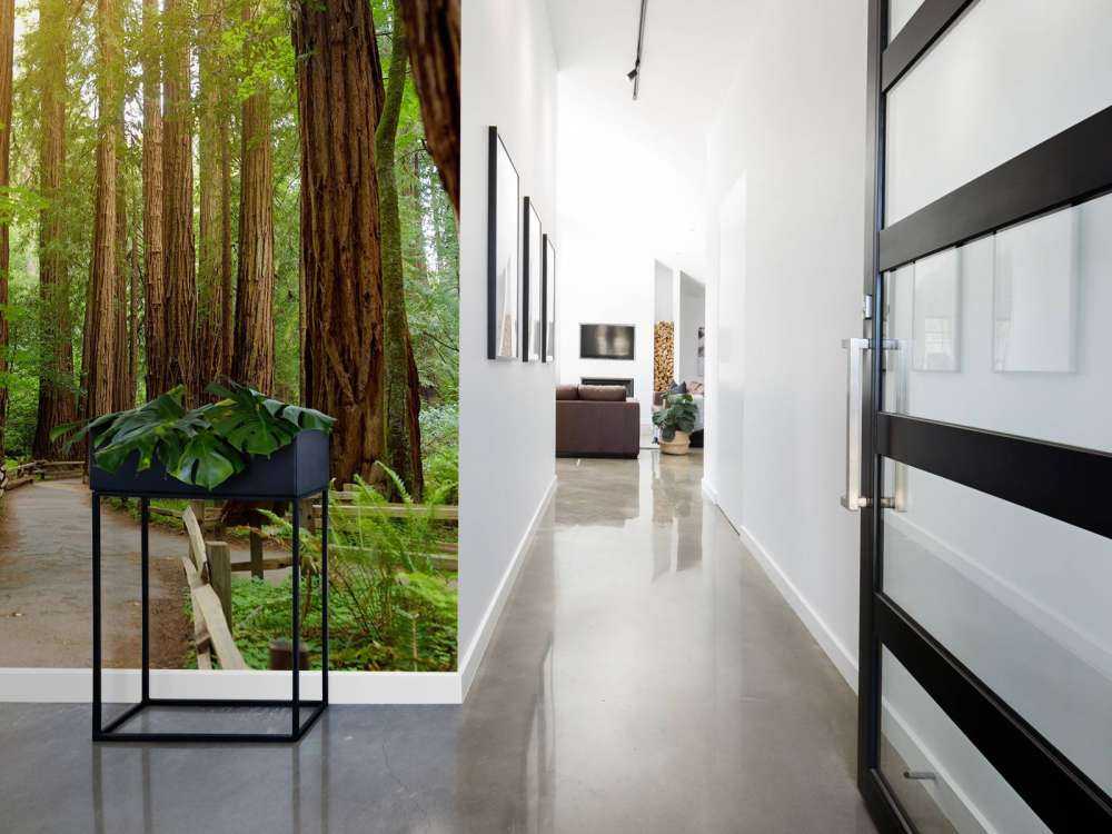 Höga träd parkerar in