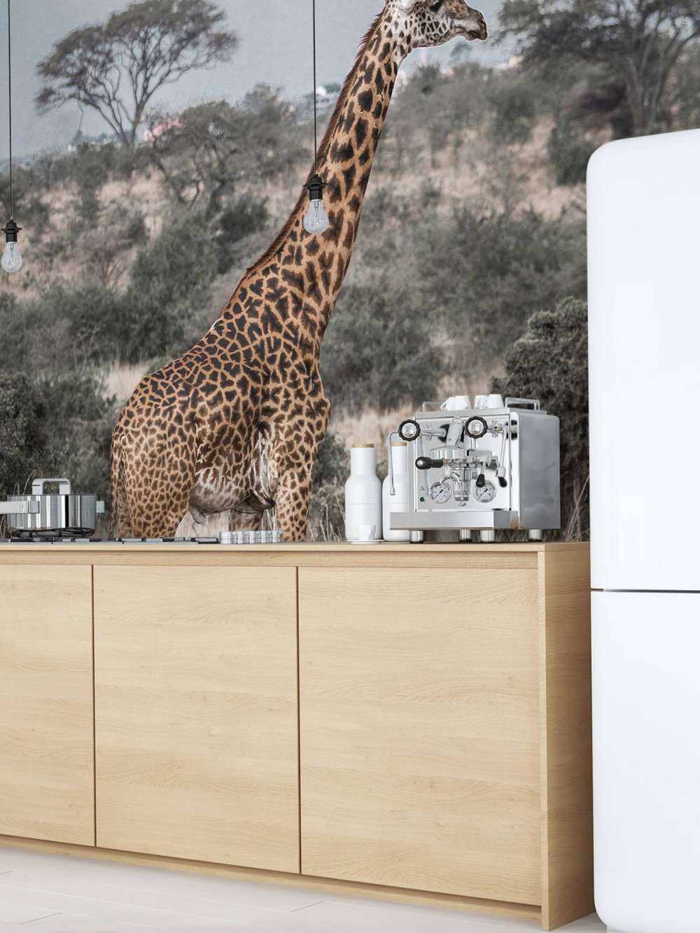 Giraff porträtt