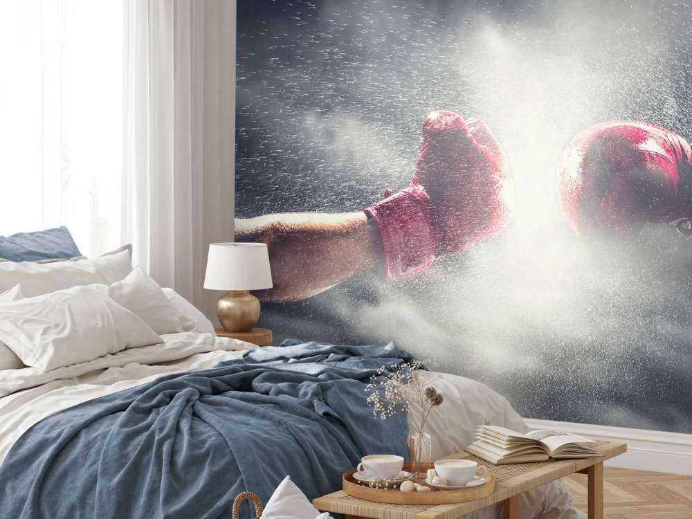 Två boxare