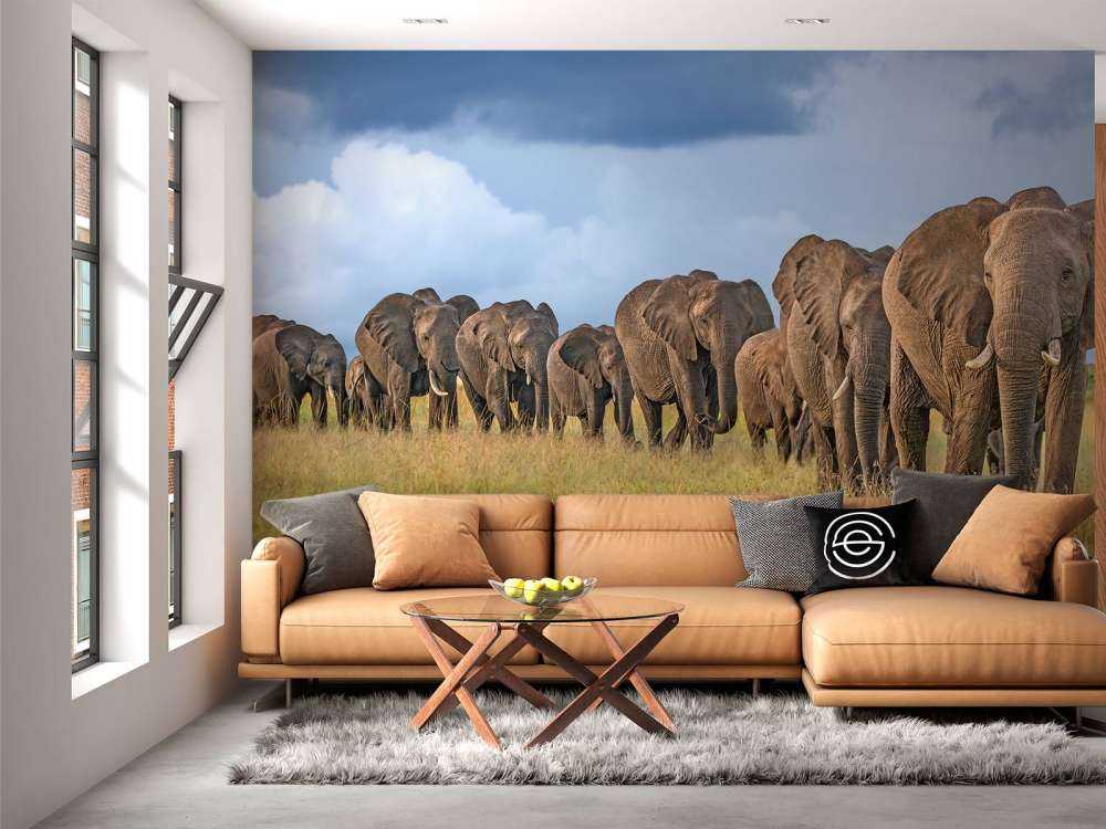 The Land Of The Giants