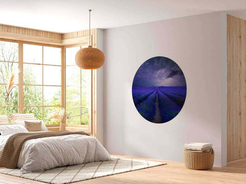 Wetter im Lavendelfeld