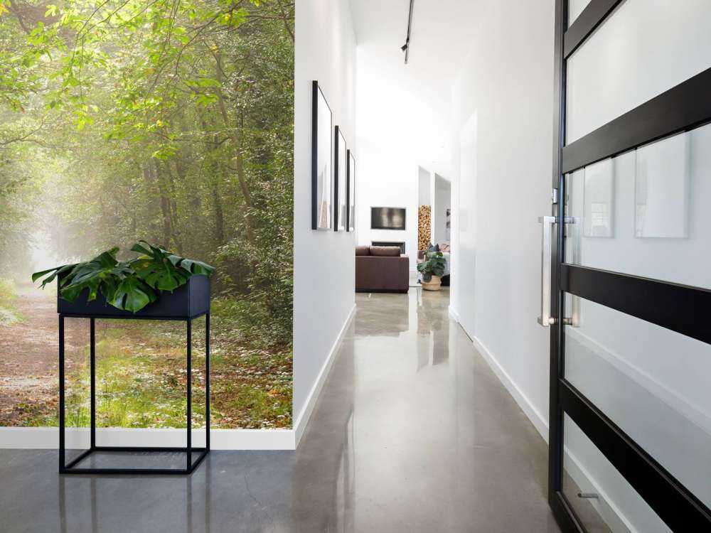 Stig genom dimmig skog